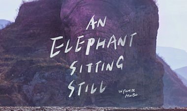 AN ELEPHANT SITTING STILL