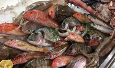 ΤΟ ΟΥΖΕΡΙ ΤΟΥ ΛΑΚΗ