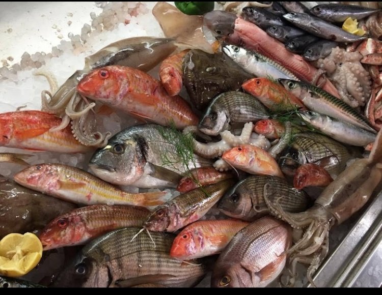 ΤΟ ΟΥΖΕΡΙ ΤΟΥ ΛΑΚΗ