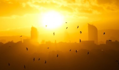 Υπερθέρμανση του πλανήτη