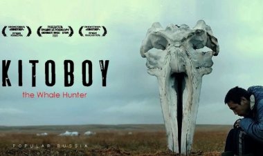 ΤΟ ΤΑΞΙΔΙ ΤΗΣ ΦΑΛΑΙΝΑΣ Η ΟΔΥΣΣΕΙΑ ΤΗΣ ΕΝΗΛΗΚΙΩΣΗΣ