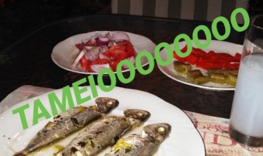 ΤΑ ΤΣΊΠΟΥΡΑ ΜΑΣ ΠΛΉΡΩΣΑΝ