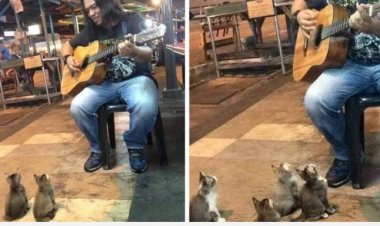 ΌΤΑΝ ΤΑ ΖΏΑ ΠΑΡΑΔΊΔΟΥΝ ΜΑΘΉΜΑΤΑ ΖΩΗΣ