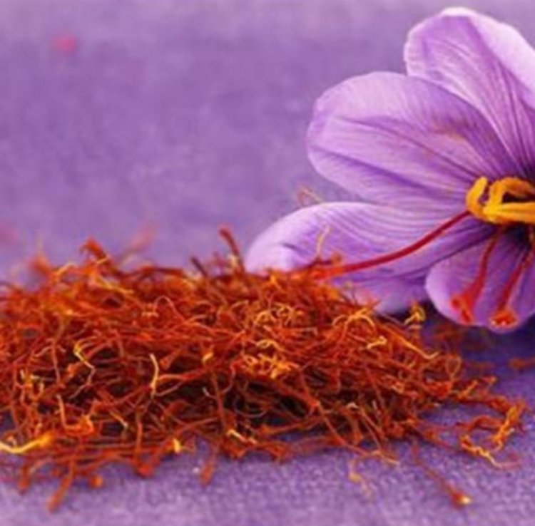 ΞΕΚΊΝΗΣΕ Η ΣΥΓΚΟΜΙΔΉ ΤΟΥ ΚΡΟΚΟΥ ΚΟΖΆΝΗΣ (ΣΑΦΡΑΝ) ΠΡΌΒΛΗΜΑ ΤΑ ΕΡΓΑΤΙΚΆ ΧΈΡΙΑ