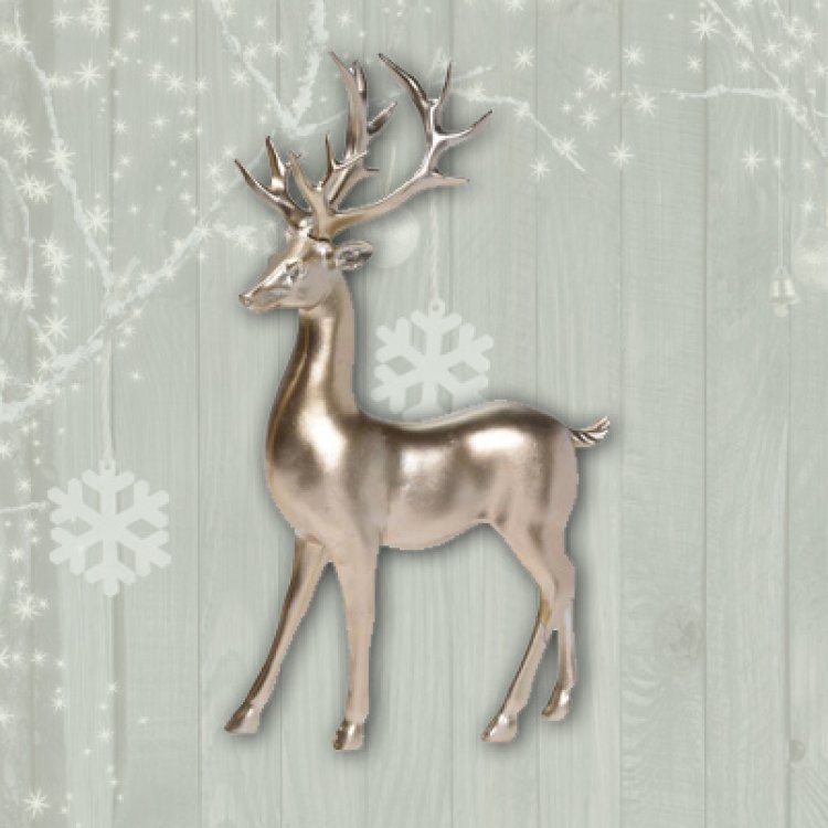 Το τζίνι της Πέμπτης